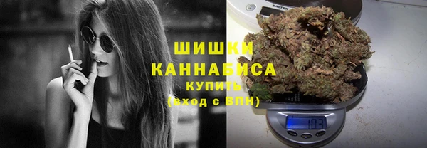 дживик Гусиноозёрск