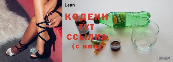 гидра Гусев