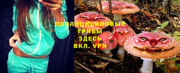 гидра Гусев