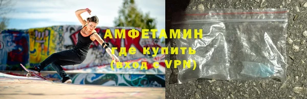 гидра Гусев