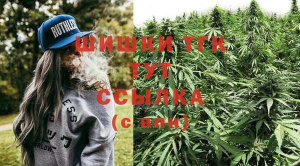 гидра Гусев