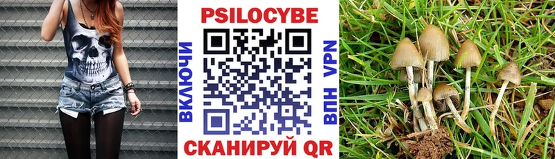 где продают наркотики  Дюртюли  Псилоцибиновые грибы GOLDEN TEACHER 