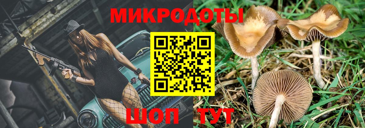 Галлюциногенные грибы Cubensis Дюртюли