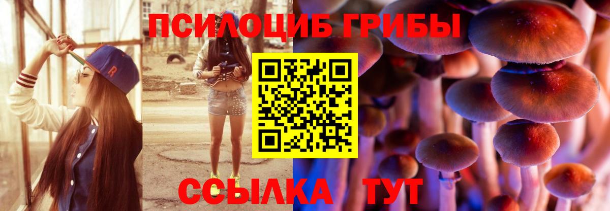 Галлюциногенные грибы Cubensis  Вход с VPN  Дюртюли  Галлюциногенные грибы Cubensis 